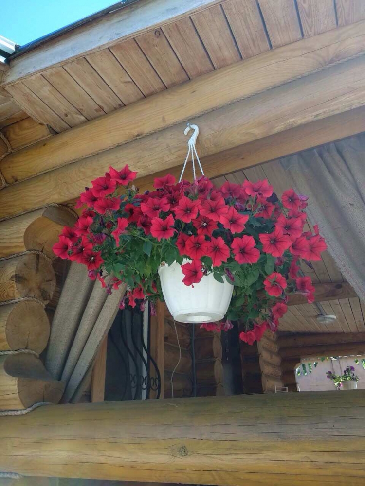 База отдыха 