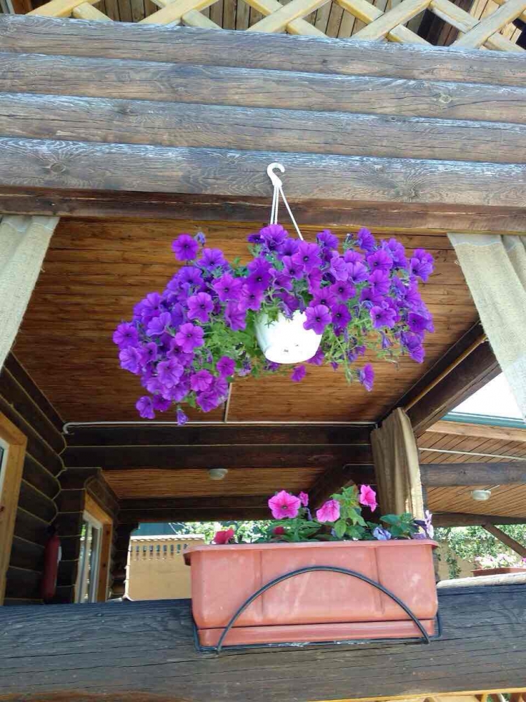 База отдыха 