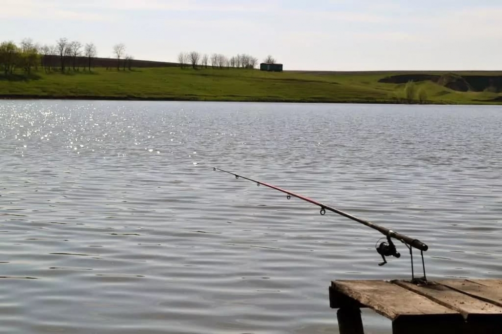 База отдыха 