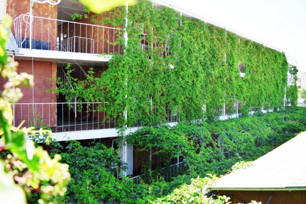 база отдыха 