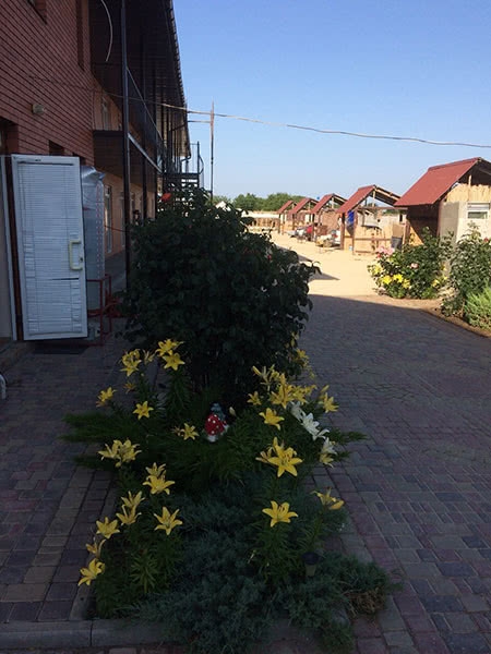 Гостевой дом 