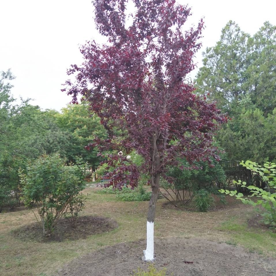 База отдыха 