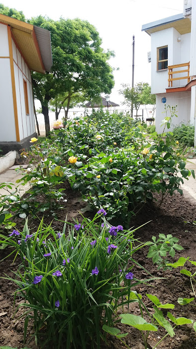 База отдыха 