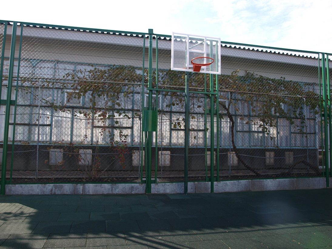 База отдыха 