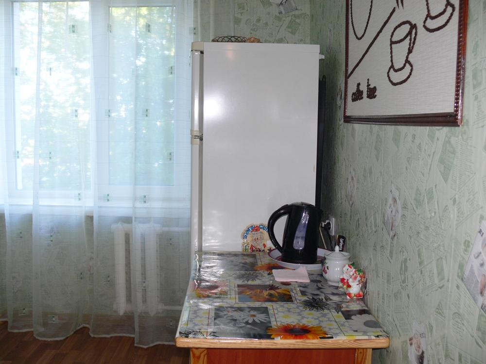 1-комн квартира в центре (Красная площадь) посуточ... #4