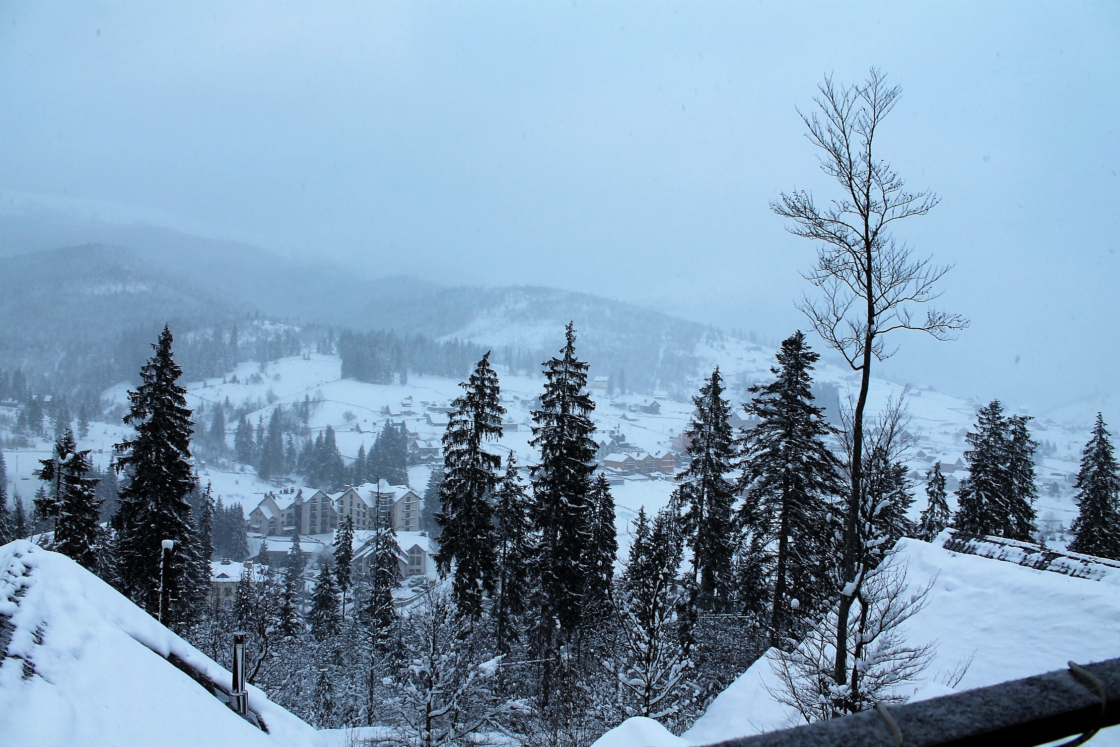 Котедж «ШЛЯХЕТНИЙ» #8