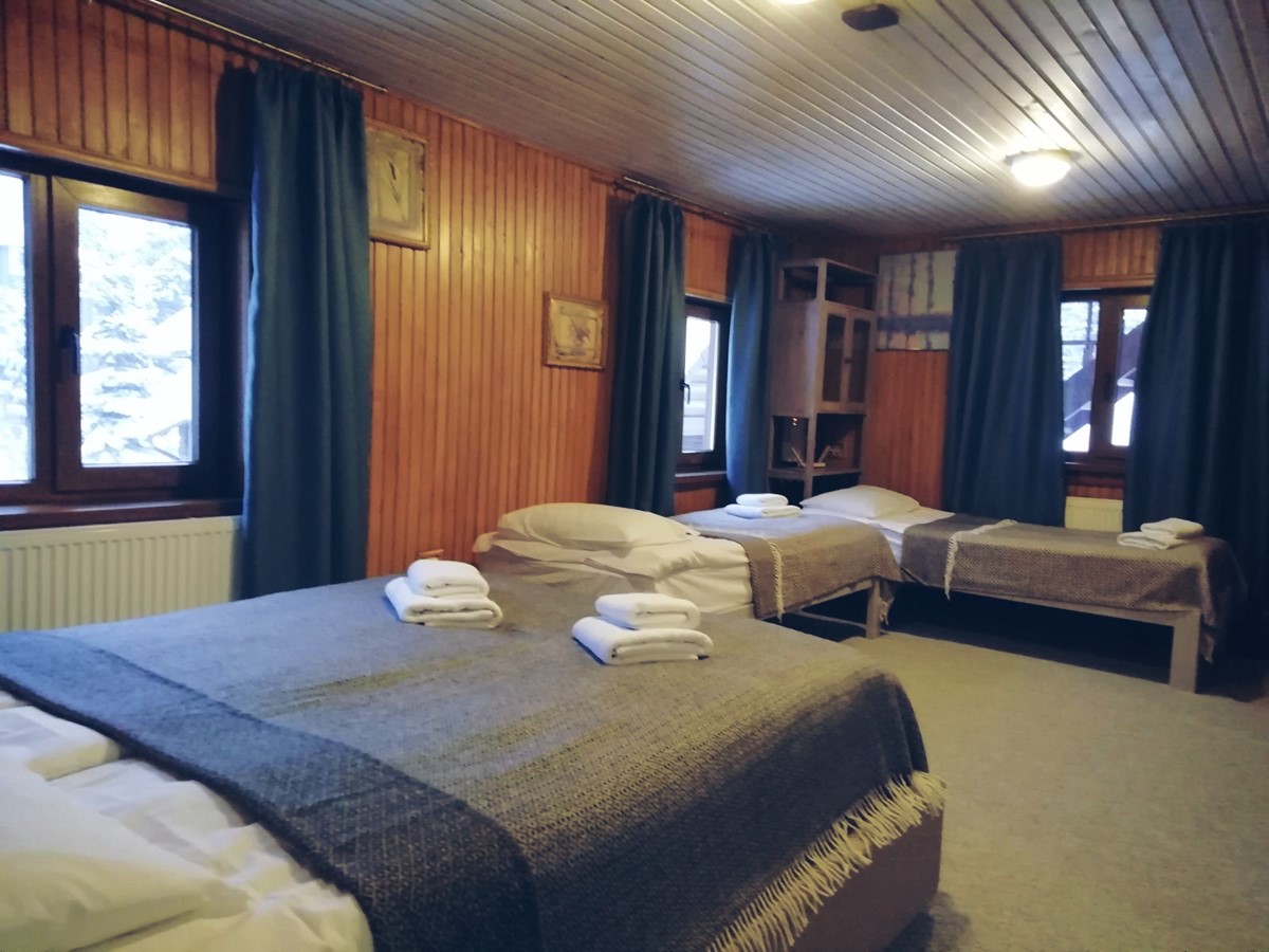 МАЄТОК ЛІС І ГОРИ #15