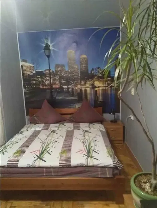 1к. квартира посуточно, почасово, центр Бабурки #2