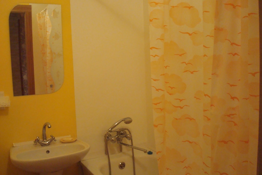 Сдам свою 1-комнатную квартиру в Полтаве #7