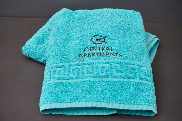 Центр Харькова, Пушкинская реальная квартира #5