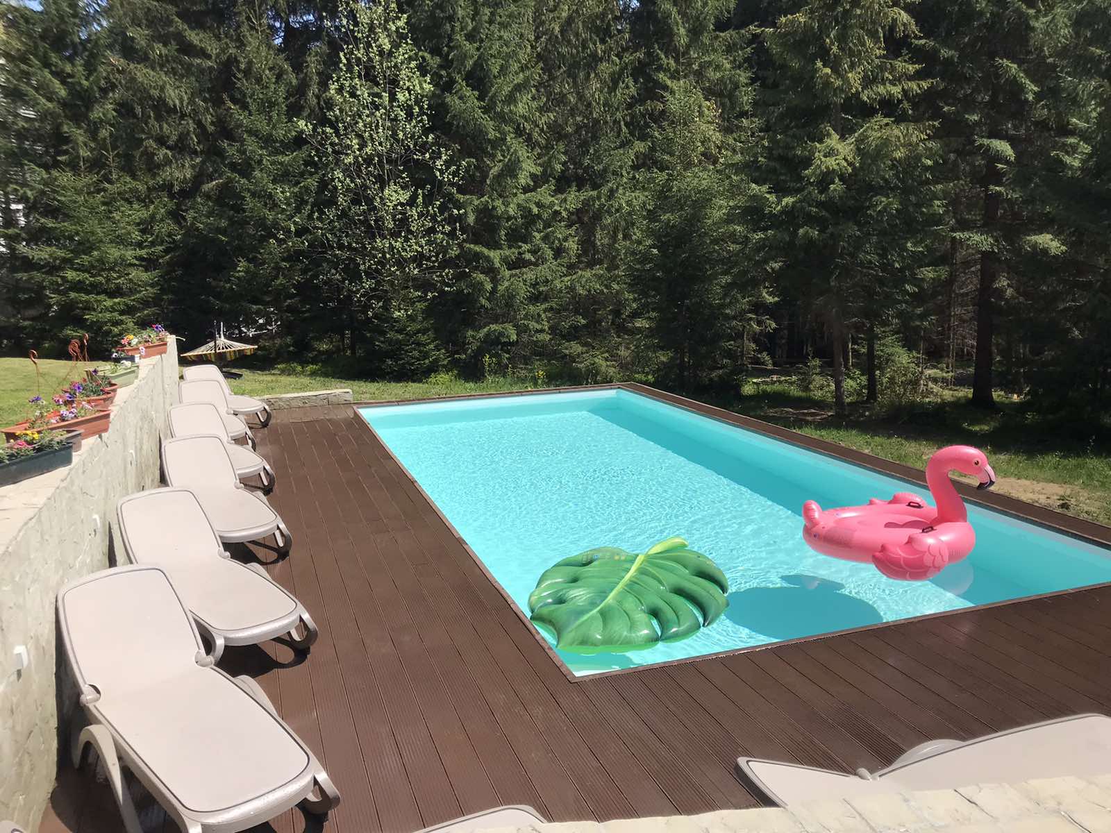 МАЄТОК ЛІС І ГОРИ #24