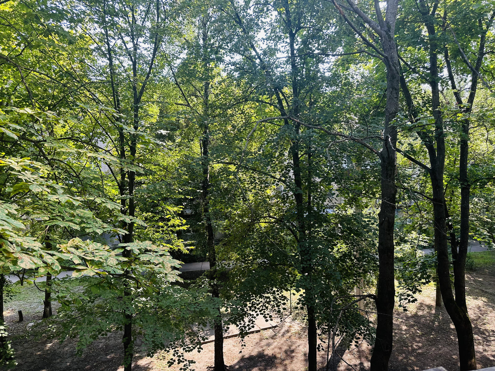 Своя 1к посуточно Новые дома, ХТЗ, метро Дворец сп... #8