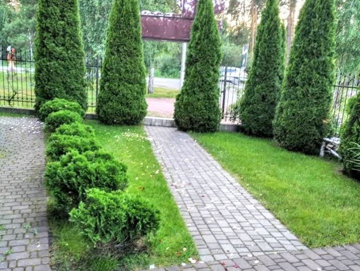 488 Комплекс для відпочинку з басейном та лазнею #5