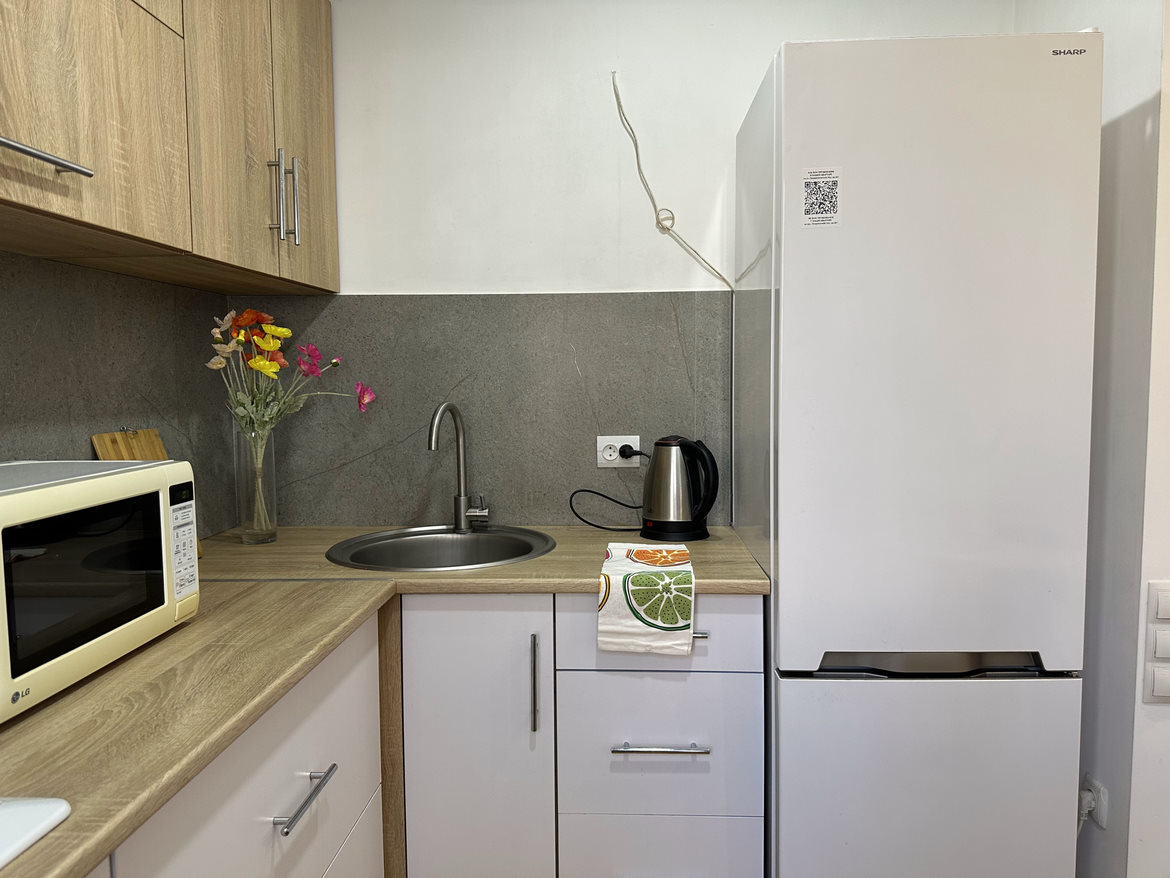 Посуточно 1-комнатная люкс-студия, ул.Патриотическ... #12