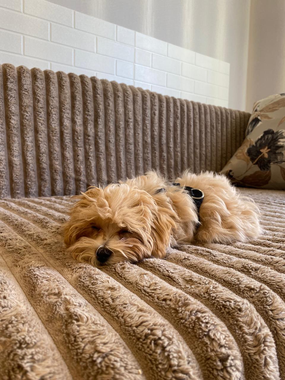 Смарт квартира возле моря. Azure Nest. #9