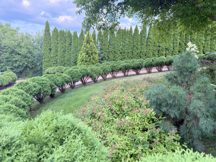 453 ВІП будинок подобово з басейном #16