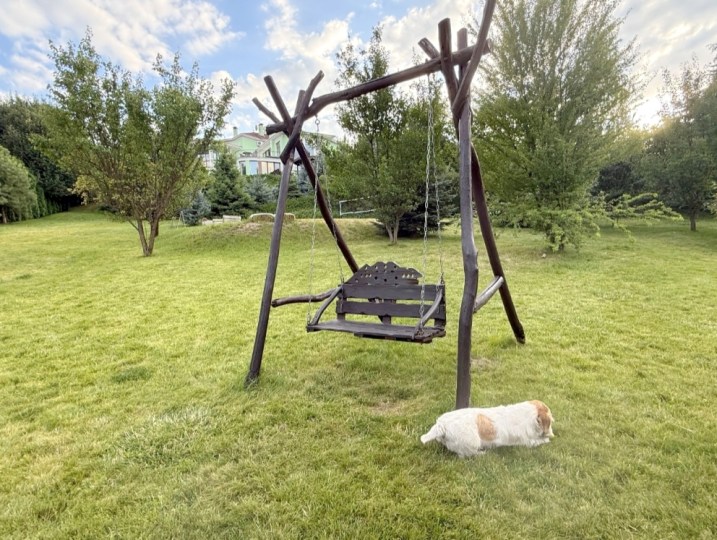 453 ВІП будинок подобово з басейном #18