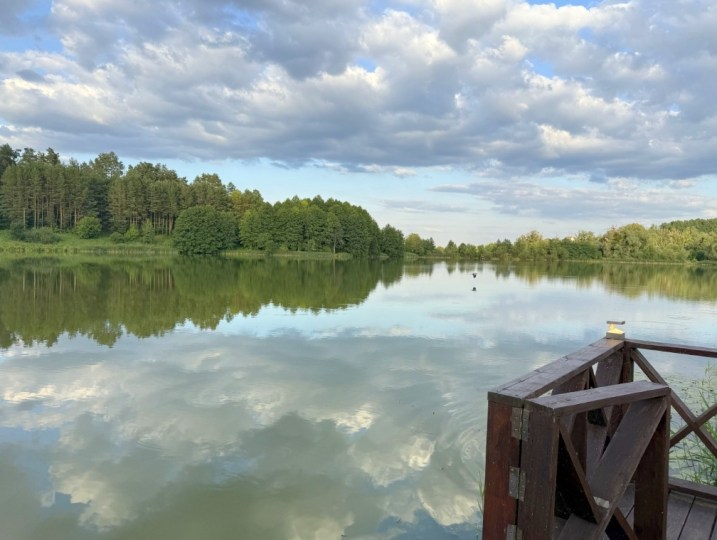 453 ВІП будинок подобово з басейном #19