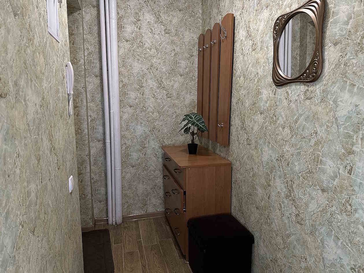 Однокомнатная квартира посуточно на Пушкина (просп... #9