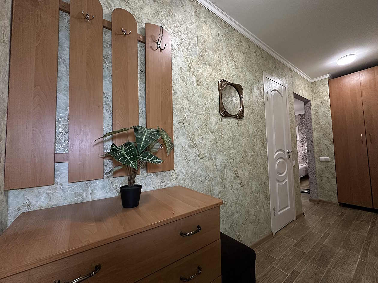 Однокомнатная квартира посуточно на Пушкина (просп... #10